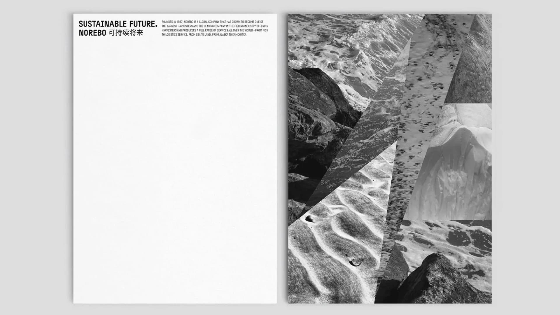 Norebo project image 3